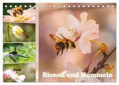 Bienen und Hummeln in Aktion (Tischkalender 2026 DIN A5 quer), CALVENDO Monatskalender Bienen und Hummeln in Aktion (Tischkalender 2026 DIN A5 quer), CALVENDO Monatskalender