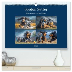 Gordon Setter. Edle Seelen in der Natur (hochwertiger Premium Wandkalender 2026 DIN A2 quer), Kunstdruck in Hochglanz Gordon Setter. Edle Seelen in der Natur (hochwertiger Premium Wandkalender 2026 DIN A2 quer), Kunstdruck in Hochglanz