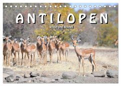 Antilopen, schön und schnell (Tischkalender 2026 DIN A5 quer), CALVENDO Monatskalender
