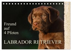 Cover Freund auf 4 Pfoten - Labrador Retriever (Tischkalender 2026 DIN A5 quer), CALVENDO Monatskalender