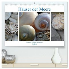 Häuser der Meere: Muscheln - Seeigel - Schnecken (hochwertiger Premium Wandkalender 2026 DIN A2 quer), Kunstdruck in Hochglanz Häuser der Meere: Muscheln - Seeigel - Schnecken (hochwertiger Premium Wandkalender 2026 DIN A2 quer), Kunstdruck in Hochglanz