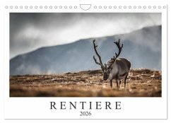 Cover Rentiere (Wandkalender 2026 DIN A4 quer), CALVENDO Monatskalender