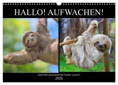 Hallo! Aufwachen! Kann bitte mal jemand das Faultier wecken? (Wandkalender 2026 DIN A3 quer), CALVENDO Monatskalender
