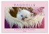 RAGDOLLS Impressionen aus der... - Bild 1