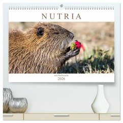 NUTRIA mit Nachwuchs (hochwertiger Premium Wandkalender 2026 DIN A2 quer), Kunstdruck in Hochglanz
