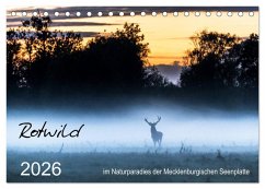 Rotwild - im Naturparadies der Mecklenburgischen Seenplatte (Tischkalender 2026 DIN A5 quer), CALVENDO Monatskalender
