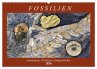 Fossilien - Ammoniten, Trilobiten,... - Bild 1