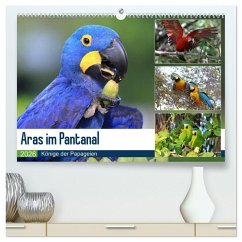 Aras im Pantanal (hochwertiger Premium Wandkalender 2026 DIN A2 quer), Kunstdruck in Hochglanz Aras im Pantanal (hochwertiger Premium Wandkalender 2026 DIN A2 quer), Kunstdruck in Hochglanz