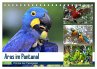 Aras im Pantanal (Tischkalender 2026... - Bild 1