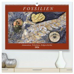 Cover Fossilien - Ammoniten, Trilobiten, Erdgeschichte (hochwertiger Premium Wandkalender 2026 DIN A2 quer), Kunstdruck in Hochglanz