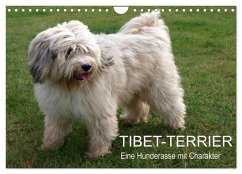 Tibet-Terrier - Eine Hunderasse mit Charakter (Wandkalender 2026 DIN A4 quer), CALVENDO Monatskalender Tibet-Terrier - Eine Hunderasse mit Charakter (Wandkalender 2026 DIN A4 quer), CALVENDO Monatskalender