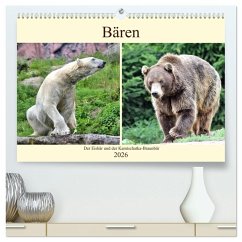 Bären - Der Eisbär und der Kamtschatka-Braunbär (hochwertiger Premium Wandkalender 2026 DIN A2 quer), Kunstdruck in Hochglanz