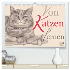Cover Von Katzen lernen (hochwertiger Premium Wandkalender 2026 DIN A2 quer), Kunstdruck in Hochglanz