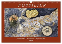 Cover Fossilien - Ammoniten, Trilobiten, Erdgeschichte (Wandkalender 2026 DIN A3 quer), CALVENDO Monatskalender
