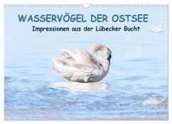 Cover Wasservögel der Ostsee - Impressionen aus der Lübecker Bucht (Wandkalender 2026 DIN A3 quer), CALVENDO Monatskalender