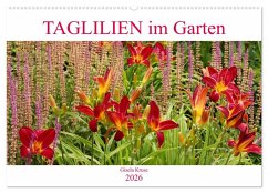 Taglilien im Garten (Wandkalender 2026 DIN A2 quer), CALVENDO Monatskalender