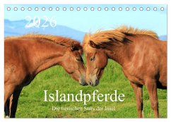 Islandpferde - Die tierischen Stars der Insel (Tischkalender 2026 DIN A5 quer), CALVENDO Monatskalender