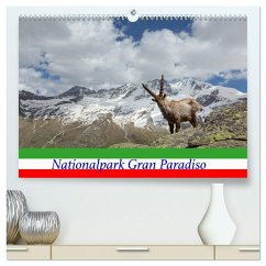 Nationalpark Gran Paradiso (hochwertiger Premium Wandkalender 2026 DIN A2 quer), Kunstdruck in Hochglanz Nationalpark Gran Paradiso (hochwertiger Premium Wandkalender 2026 DIN A2 quer), Kunstdruck in Hochglanz