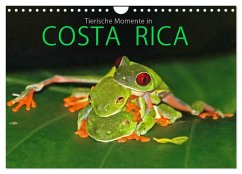 Cover COSTA RICA - Tierische Momente (Wandkalender 2026 DIN A4 quer), CALVENDO Monatskalender