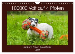 100000 Volt auf vier Pfoten - Jack und Parson Russell Terrier (Wandkalender 2026 DIN A4 quer), CALVENDO Monatskalender