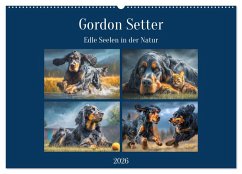 Gordon Setter. Edle Seelen in der Natur (Wandkalender 2026 DIN A2 quer), CALVENDO Monatskalender Gordon Setter. Edle Seelen in der Natur (Wandkalender 2026 DIN A2 quer), CALVENDO Monatskalender