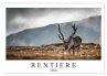 Rentiere (Wandkalender 2026 DIN A2... - Bild 1
