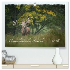 Unsere heimische Tierwelt (hochwertiger Premium Wandkalender 2026 DIN A2 quer), Kunstdruck in Hochglanz Unsere heimische Tierwelt (hochwertiger Premium Wandkalender 2026 DIN A2 quer), Kunstdruck in Hochglanz