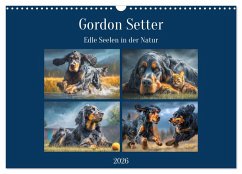 Gordon Setter. Edle Seelen in der Natur (Wandkalender 2026 DIN A3 quer), CALVENDO Monatskalender Gordon Setter. Edle Seelen in der Natur (Wandkalender 2026 DIN A3 quer), CALVENDO Monatskalender
