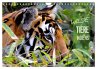 Wilde Tiere Indiens (Wandkalender 2026... - Bild 1