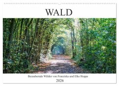 Wald - bezaubernde Wälder (Wandkalender 2026 DIN A2 quer), CALVENDO Monatskalender