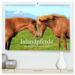 Cover Islandpferde - Die tierischen Stars der Insel (hochwertiger Premium Wandkalender 2026 DIN A2 quer), Kunstdruck in Hochglanz