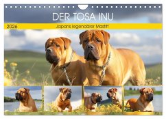 Cover Der Tosa Inu. Japans legendärer Mastiff (Wandkalender 2026 DIN A4 quer), CALVENDO Monatskalender