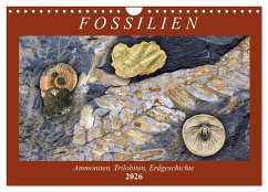 Cover Fossilien - Ammoniten, Trilobiten, Erdgeschichte (Wandkalender 2026 DIN A4 quer), CALVENDO Monatskalender