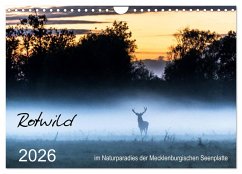 Rotwild - im Naturparadies der Mecklenburgischen Seenplatte (Wandkalender 2026 DIN A4 quer), CALVENDO Monatskalender Rotwild - im Naturparadies der Mecklenburgischen Seenplatte (Wandkalender 2026 DIN A4 quer), CALVENDO Monatskalender