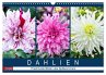 Dahlien - Prachtvolle Blüten des... - Bild 1