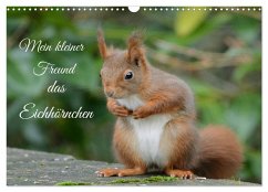 Mein kleiner Freund das Eichhörnchen (Wandkalender 2026 DIN A3 quer), CALVENDO Monatskalender