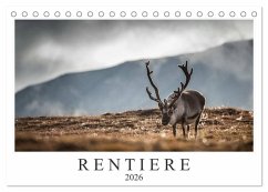 Rentiere (Tischkalender 2026 DIN A5 quer), CALVENDO Monatskalender Rentiere (Tischkalender 2026 DIN A5 quer), CALVENDO Monatskalender