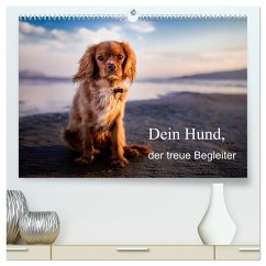 Dein Hund der treue Begleiter (hochwertiger Premium Wandkalender 2026 DIN A2 quer), Kunstdruck in Hochglanz Dein Hund der treue Begleiter (hochwertiger Premium Wandkalender 2026 DIN A2 quer), Kunstdruck in Hochglanz