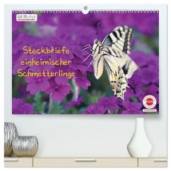 GEOclick Lernkalender: Steckbriefe einheimischer Schmetterlinge (hochwertiger Premium Wandkalender 2026 DIN A2 quer), Kunstdruck in Hochglanz
