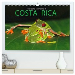 Cover COSTA RICA - Tierische Momente (hochwertiger Premium Wandkalender 2026 DIN A2 quer), Kunstdruck in Hochglanz