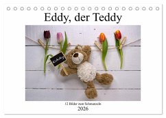 Eddy, der Teddy - 12 Bilder zum Schmunzeln (Tischkalender 2026 DIN A5 quer), CALVENDO Monatskalender Eddy, der Teddy - 12 Bilder zum Schmunzeln (Tischkalender 2026 DIN A5 quer), CALVENDO Monatskalender
