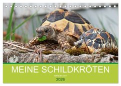 Cover Meine Schildkröten (Tischkalender 2026 DIN A5 quer), CALVENDO Monatskalender