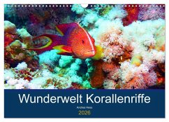 Wunderwelt Korallenriffe (Wandkalender 2026 DIN A3 quer), CALVENDO Monatskalender