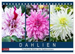 Dahlien - Prachtvolle Blüten des Spätsommers (Tischkalender 2026 DIN A5 quer), CALVENDO Monatskalender Dahlien - Prachtvolle Blüten des Spätsommers (Tischkalender 2026 DIN A5 quer), CALVENDO Monatskalender
