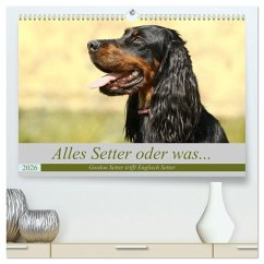 Alles Setter oder was (hochwertiger Premium Wandkalender 2026 DIN A2 quer), Kunstdruck in Hochglanz Alles Setter oder was (hochwertiger Premium Wandkalender 2026 DIN A2 quer), Kunstdruck in Hochglanz