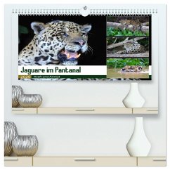 Jaguare im Pantanal (hochwertiger Premium Wandkalender 2026 DIN A2 quer), Kunstdruck in Hochglanz Jaguare im Pantanal (hochwertiger Premium Wandkalender 2026 DIN A2 quer), Kunstdruck in Hochglanz