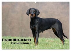 Der Brandlbracken-Terminplaner (Wandkalender 2026 DIN A2 quer), CALVENDO Monatskalender