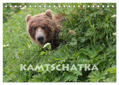 Aug in Aug mit den Braunbären in Kamtschatka (Tischkalender 2026 DIN A5 quer), CALVENDO Monatskalender Aug in Aug mit den Braunbären in Kamtschatka (Tischkalender 2026 DIN A5 quer), CALVENDO Monatskalender