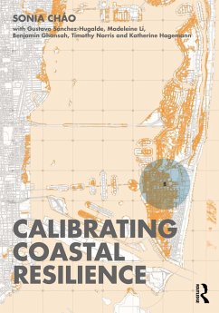 Cover Calibrating Coastal Resilience (eBook, PDF)