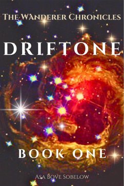 Cover Driftone (eBook, ePUB)